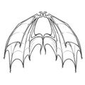 Bat wings on white background
