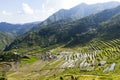 Batad Royalty Free Stock Photo