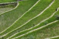 Batad rice field terraces in Ifugao province, Banaue, Philippines Royalty Free Stock Photo