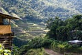 Batad Rice terraces, Banaue, Ifugao, Philippines Royalty Free Stock Photo