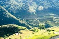 Batad Rice terraces, Banaue, Ifugao, Philippines Royalty Free Stock Photo