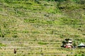 Batad Rice terraces, Banaue, Ifugao, Philippines Royalty Free Stock Photo