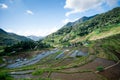 Batad Rice terraces, Banaue, Ifugao, Philippines Royalty Free Stock Photo