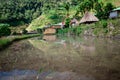 Batad Rice terraces, Banaue, Ifugao, Philippines Royalty Free Stock Photo