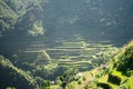 Batad Rice terraces, Banaue, Ifugao, Philippines Royalty Free Stock Photo
