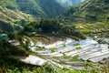 Batad rice terraces in Ifugao, Banaue, Philippines. Batad is a village Royalty Free Stock Photo