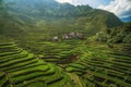 Aerial View of Batad Rice Terraces in Luzon, Philippines Royalty Free Stock Photo