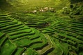 Ancient Ifugao Rice Terraces at Batad, Northern Luzon, Philippines Royalty Free Stock Photo