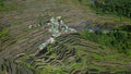 Batad Rice Terraces in Philippines