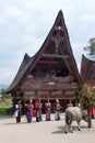 Batak Dancers on Samosir Island Royalty Free Stock Photo
