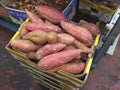 Batat sweet potato in Carmel market, Tel Aviv Royalty Free Stock Photo