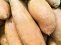 Batata, batatas, sweet potato or sweetpotato (lat. Ipomoea batatas), fresh, ripe, tuber and root vegetables, food Royalty Free Stock Photo