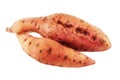 Batata. Ipomaea Batatos Lam. Royalty Free Stock Photo