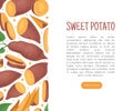 Batata or Sweet Potato Root Vegetable Banner Design Vector Template