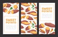 Batata or Sweet Potato Root Vegetable Vertical Banner Design Vector Template