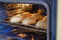 Batch of crispy homemade buns in the oven