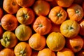 Batch of fresh tangerines, ripe and ready for consumption