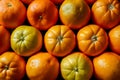 Batch of fresh tangerines, ripe and ready for consumption