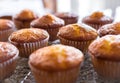 Batch of homemade freshly baked cupcakes or muffins