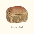 Batch loaf, hand drawn doodle, sketch, vector color illustration