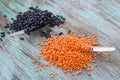 Batch of orange lentils, black haricot beans scattered on spoons Royalty Free Stock Photo