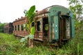 A batch of rusty train carriages abandoned in the forest