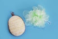 Bath accessories bath sponge from loofahs and synthetic sponges for body wash