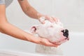 Bath of a dog Dogo Argentino