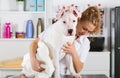 Bath of a dog Dogo Argentino Royalty Free Stock Photo