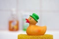 Bath and duck Royalty Free Stock Photo