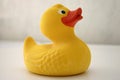 Bath duck