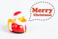 Bath duck with callout symbol and message `merry christmas` on white background