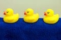 Bath ducks Royalty Free Stock Photo