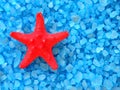 Bath salt and starfish