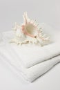 Bath - seashell and towels Royalty Free Stock Photo