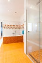 Bath and shower in big contemporary bathroom Royalty Free Stock Photo