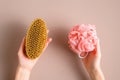 Bath shower sponge loofah vs eco-friendly natural bath massage brush comparison concept. Flat lay, top view