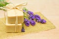 Bath Soap and Lavender - Spa Treatment Royalty Free Stock Photo