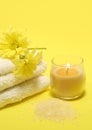 Bath/Spa Still Life Royalty Free Stock Photo