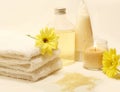 Bath/Spa Still Life Royalty Free Stock Photo