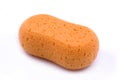 Bath Sponge