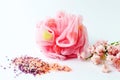 Bath sponge and salt with pink flowers Royalty Free Stock Photo