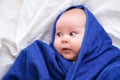 Bath time. Cute caucasian infant baby looking at camera wrapped in blue towel after bathing in the bath on white bed Royalty Free Stock Photo
