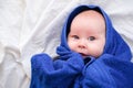 Bath time. Cute smiling caucasian infant baby looking at camera wrapped in blue towel after bathing in the bath on white Royalty Free Stock Photo