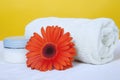 Bath towel and gerbera Royalty Free Stock Photo