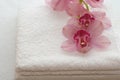 Bath towels with orchids Royalty Free Stock Photo