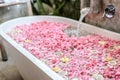 Bath tub filling with water with flowers and lemon slices Royalty Free Stock Photo