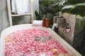 Bath tub with flower petals filling with water Royalty Free Stock Photo