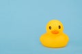 Bath yellow rubber duck on blue background
