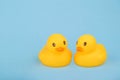 Bath yellow rubber ducks on blue background Royalty Free Stock Photo